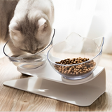 Angled Cat Feeder