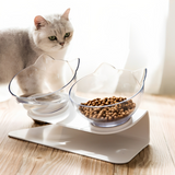 Angled Cat Feeder